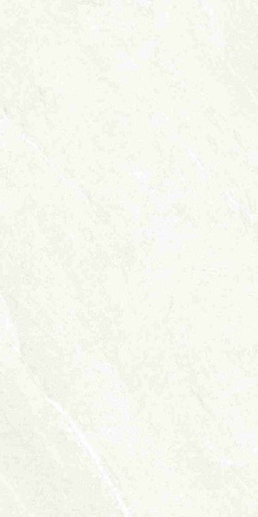 Dhara White Matte 24 x 48